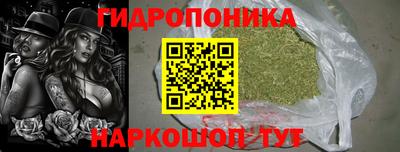 хмурый Аргун