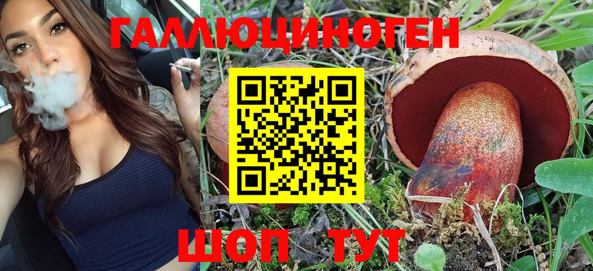 цена наркотик  Луга  Галлюциногенные грибы мицелий 